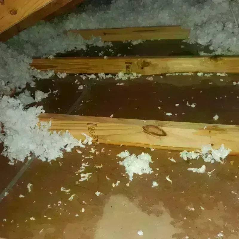 Attic Water Damage in Magna, UT