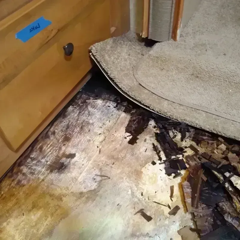 Wood Floor Water Damage in Magna, UT